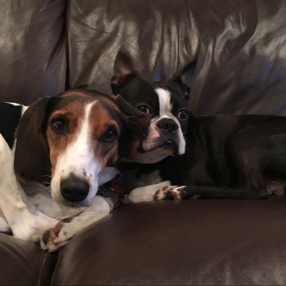 Meet your Posher, Marcela - Picture 2 of 2